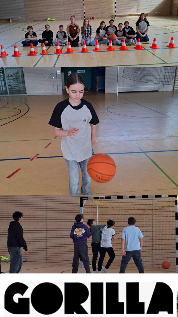 sozialgenial-Projekt des Montessori-Gymnasiums